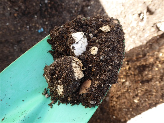 シャベルにとった土に混ざる卵の殻