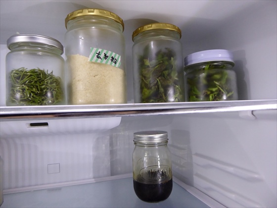 冷蔵庫に保存している長期保存用のハーブ