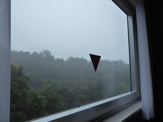 翌朝の部屋からの景色、霧がかって白い