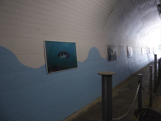 展望塔へ行くのに通るトンネル